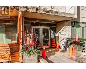 The entrance to a realtor's office is decorated with red and green plants.