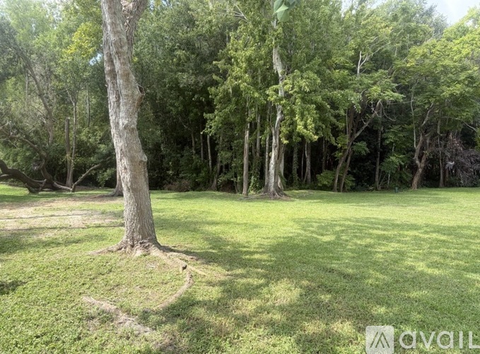 A grassy area with a tree in the foreground and a forest in the background.