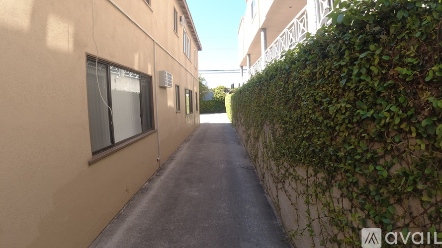 A narrow alley with a wall covered in greenery on one side and a building with windows on the other.