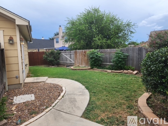 A backyard with a fence, bushes, and a small tree.