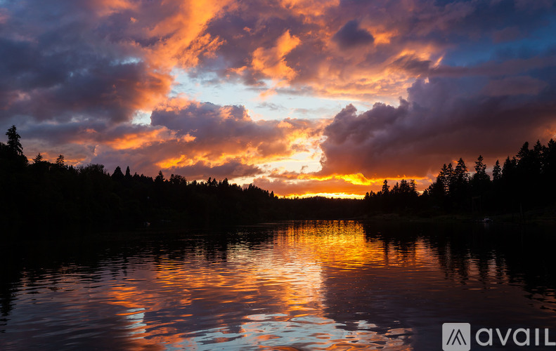 A beautiful sunset over a lake with trees in the background.
