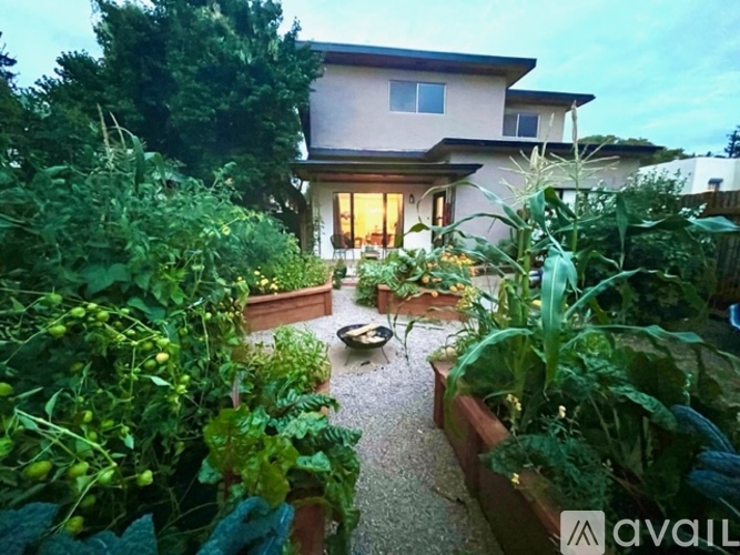A backyard with a vegetable garden and a house.