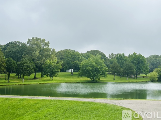 A grassy field with a lake and trees in the background.