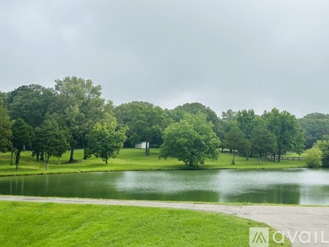 A grassy field with a lake and trees in the background.