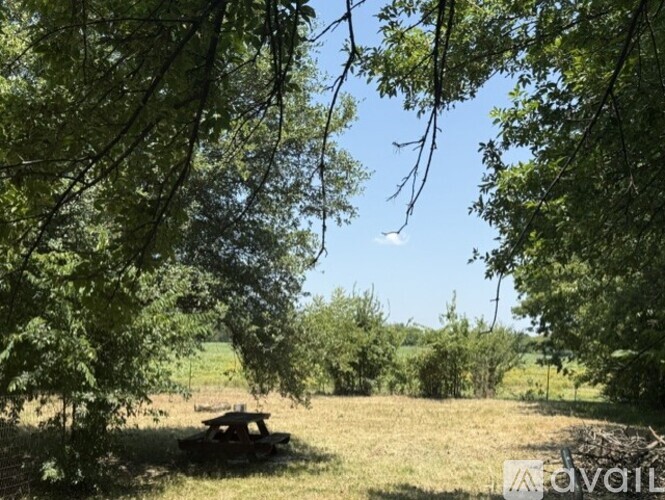 A picnic table is seen through the trees in a sunny field.