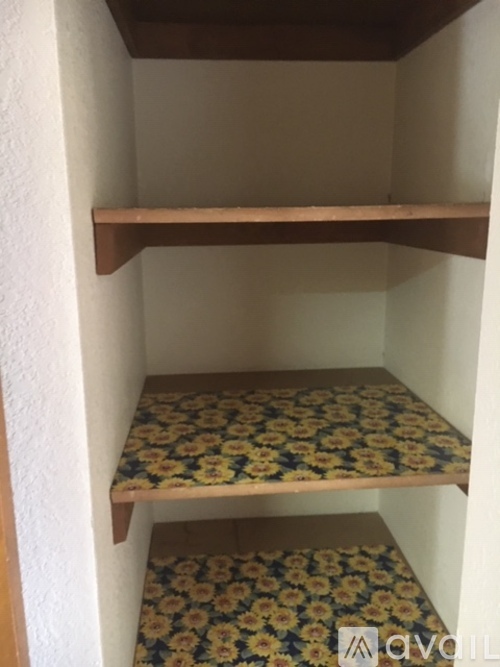 A small closet with a shelf and a floral carpet.