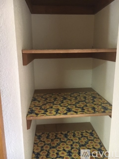 A small closet with a shelf and a floral carpet.