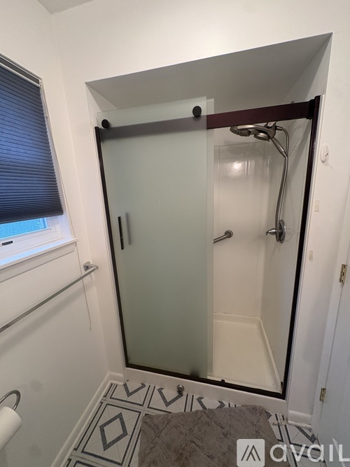A bathroom with a walk-in shower and a toilet.