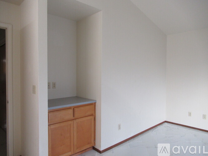 A kitchen area with a counter and cabinets.