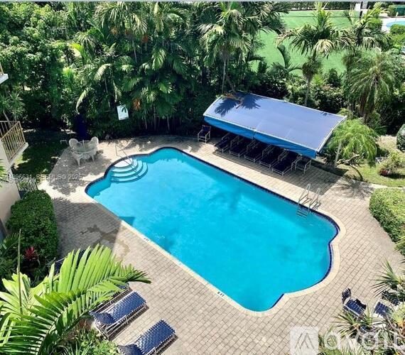 A large swimming pool surrounded by palm trees and lounge chairs.