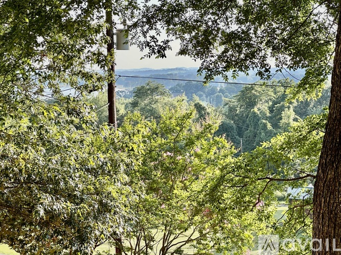 A view through the trees of a hilly landscape.