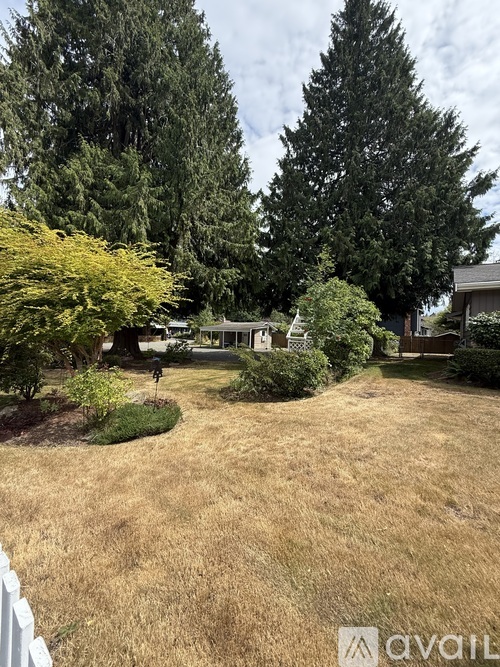A backyard with a lawn, trees, and a house in the background.