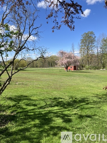 A person is walking in a grassy field with a tree and a small building in the background.