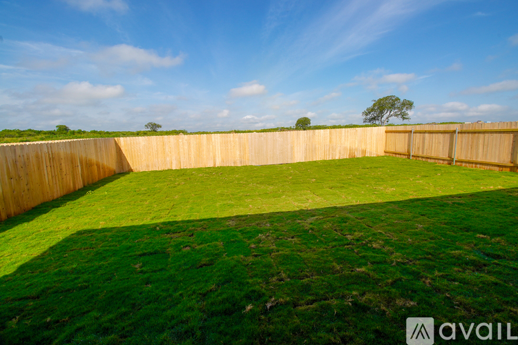 A backyard with a wooden fence and green grass.