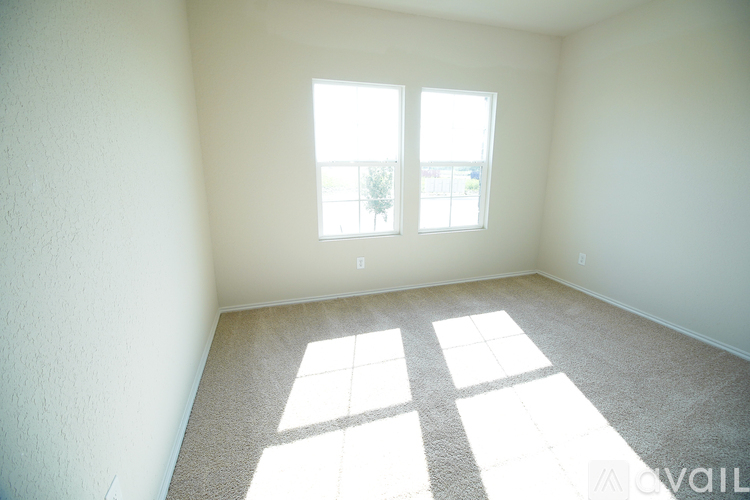 A room with a carpeted floor and two windows letting in sunlight.
