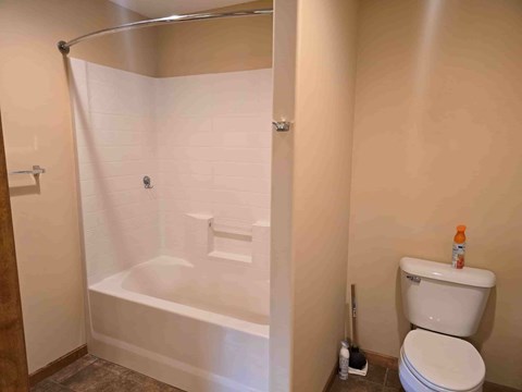 A white toilet sits next to a bathtub in a bathroom.