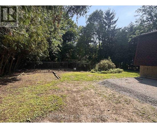 A backyard with a dirt area, a fence, and trees.