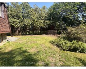A backyard with a grassy area and trees.
