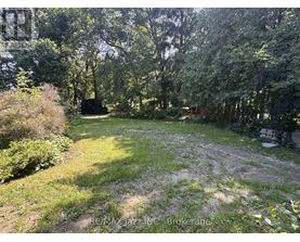 A lush green garden with a dirt path in the middle.