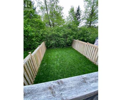 A backyard with a wooden fence and a green lawn.
