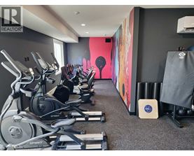 A gym with a row of treadmills and exercise bikes.