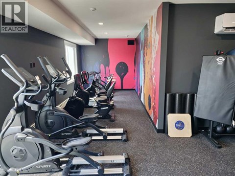 A gym with a row of treadmills and exercise bikes.