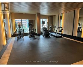 A gym with treadmills and elliptical machines.