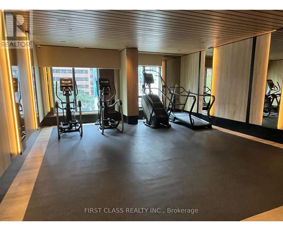 A gym with treadmills and elliptical machines.