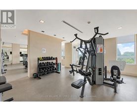 A gym with a variety of equipment including a treadmill, weights, and a bench press.