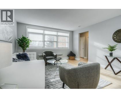 A living room with a grey sofa and a glass coffee table.