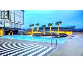 A pool area with palm trees and lounge chairs.