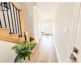 A long hallway with a plant on the left side.