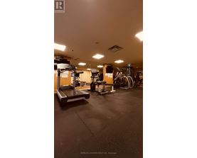A gym with treadmills, weights and exercise machines.