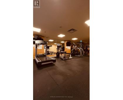A gym with treadmills, weights and exercise machines.