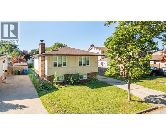 A house with a tree in front of it.