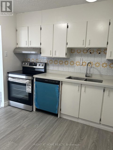 A kitchen with white cabinets and a blue dishwasher.