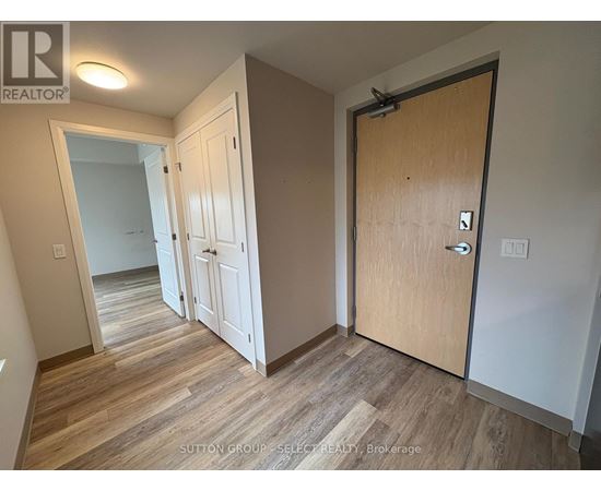 A hallway with a white door and a brown door.