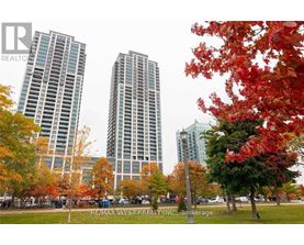 Two tall buildings are seen in the background with autumn trees in the foreground.