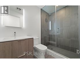 A modern bathroom with a walk-in shower and a toilet.
