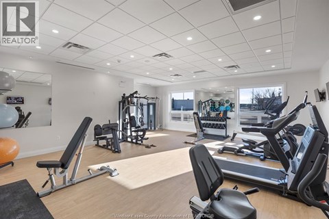 A gym with a variety of equipment including treadmills, weights, and exercise balls.