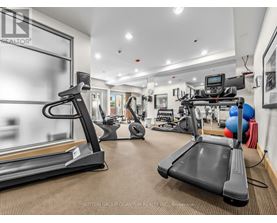 A gym with treadmills and exercise equipment.