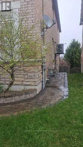 A tree in a yard next to a building.