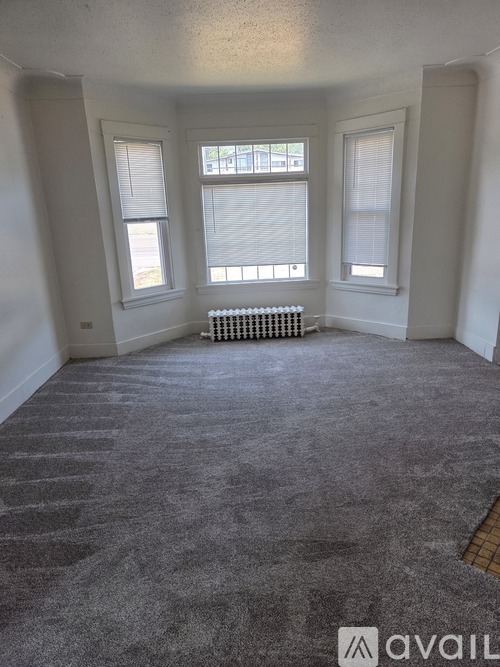 A room with a grey carpet and a radiator in front of a window.