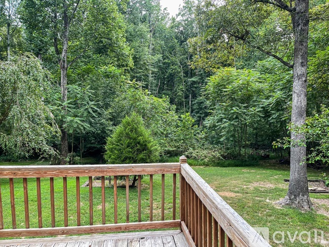 A wooden deck overlooks a lush green forest.