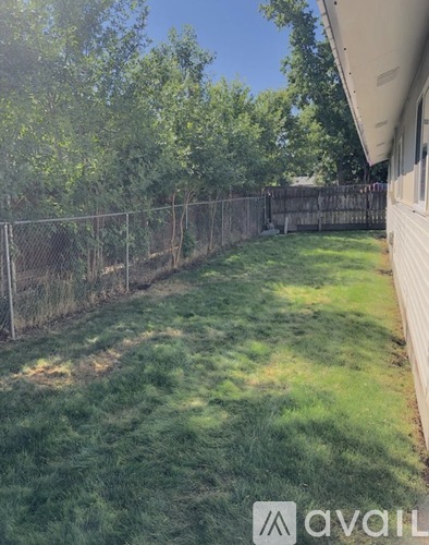 A backyard with a fence and trees.