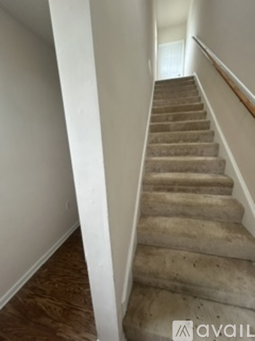A staircase with beige carpeted steps and white walls.