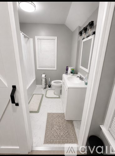 A bathroom with a toilet, sink, and rug.