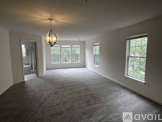 A spacious room with a carpeted floor, a hanging light fixture, and a view of trees through the windows.