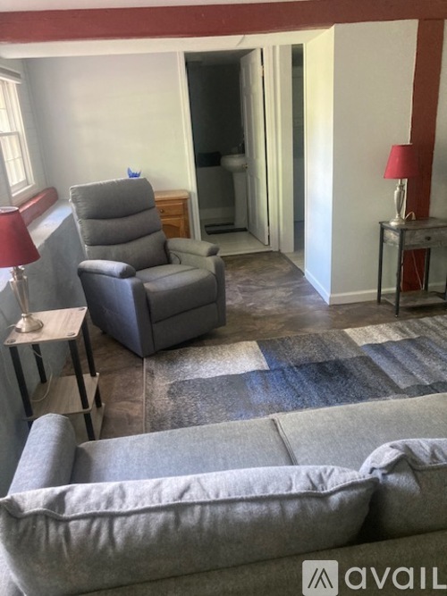 A living room with a grey sofa, a grey armchair, and a grey rug.