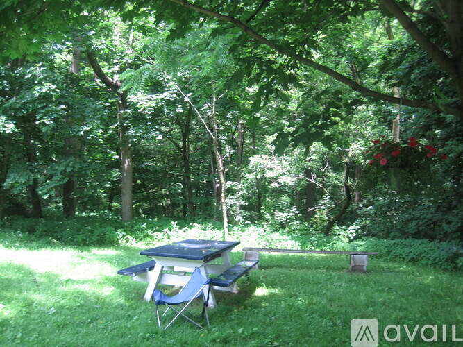 A table and chairs are set up in a grassy area under trees.